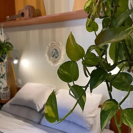 Eco Surf House En Hozanejos - Andalucia