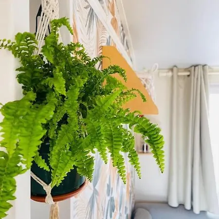 Chalet Eco Surf House En Hozanejos - Andalucia Cadiz