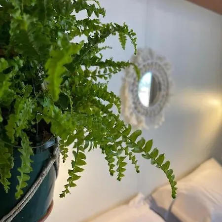 Chalet Eco Surf House En Hozanejos - Andalucia Cadiz