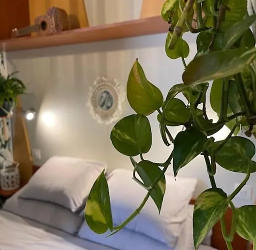 Eco Surf House En Hozanejos - Andalucia