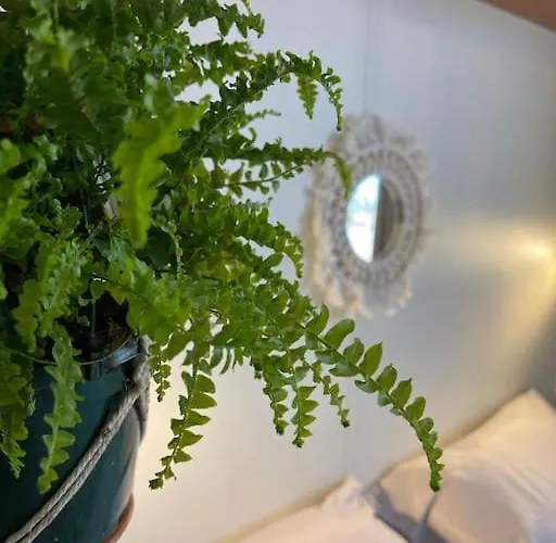 Horská chata Eco Surf House En Hozanejos - Andalucia Cádiz