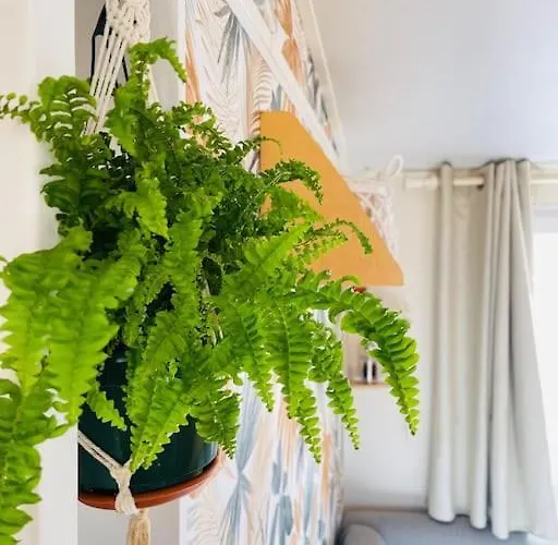 Horská chata Eco Surf House En Hozanejos - Andalucia Cádiz